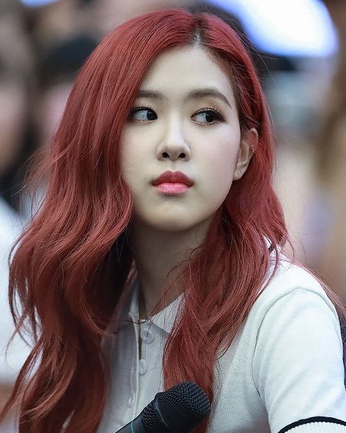 BLACKPINK fansign ev