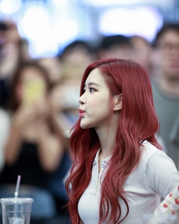 BLACKPINK fansign ev